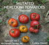Radiation Mutated Flower Plant Heirloom Tomatoes Nuclear Plants Deformed 